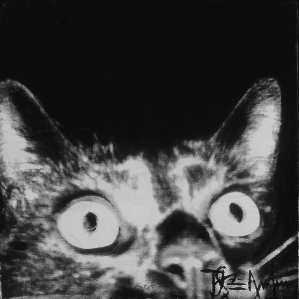 Wallpaper Series: my evil cat