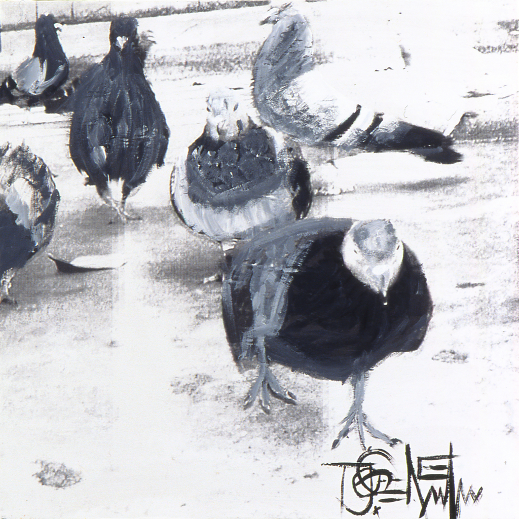 Pigeon Series: Wise Guys