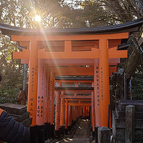 A row of torii at the Fushimi Inari Taisha shrine in Kyoto